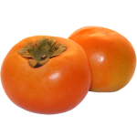 خرمالو-دستچینه